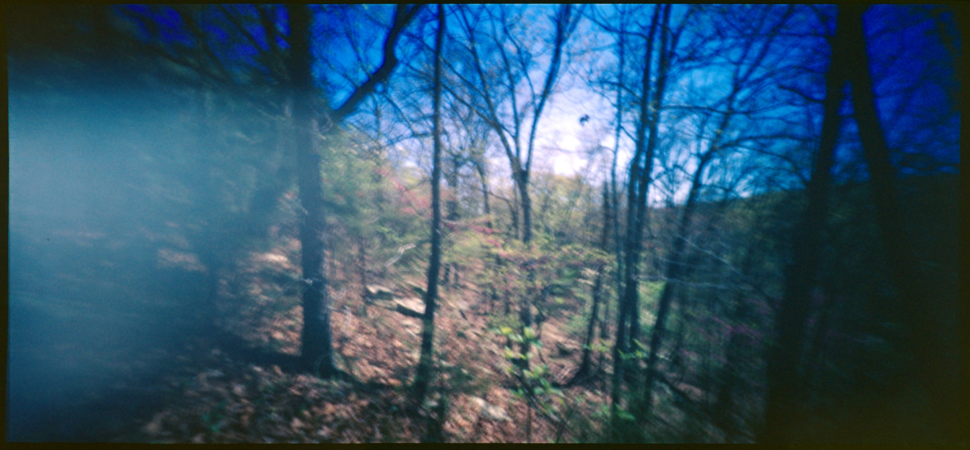 ar-spring-2021-holgawpc249