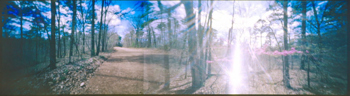 ar-spring-2021-holgawpc250