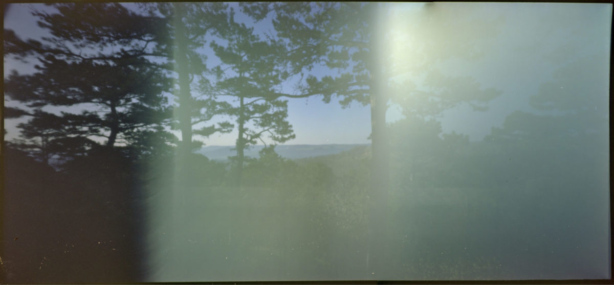 ar-spring-2021-holgawpc251