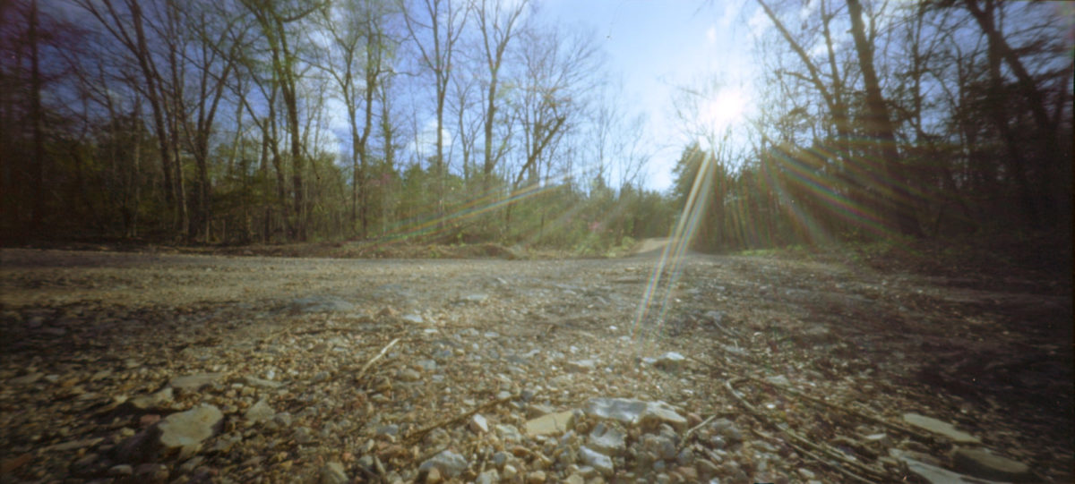 ar-spring-2021-holgawpc254