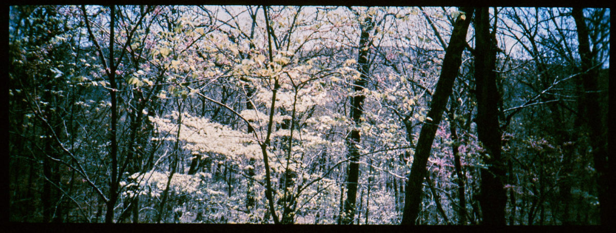 ar-spring-2021-minolta-fpp-retrochrome229