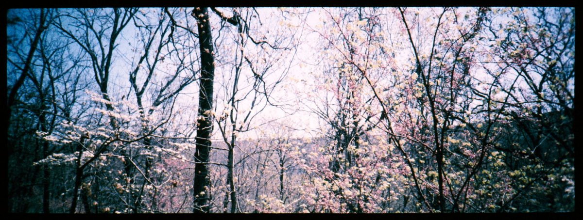 ar-spring-2021-minolta-fpp-retrochrome230