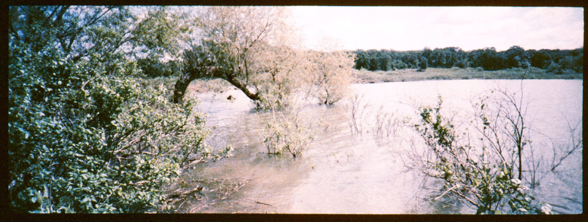 ar-spring-2021-minolta-fpp-retrochrome239