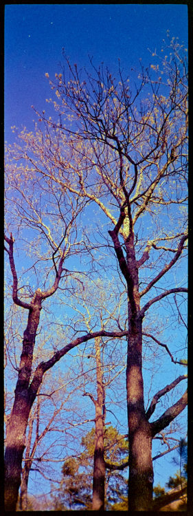 ar-spring-2021-minolta-lomo-color213