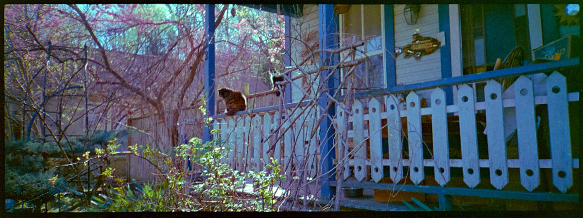 ar-spring-2021-minolta-lomo-color220