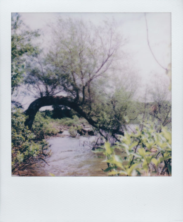 grapevine-lake-underwater256