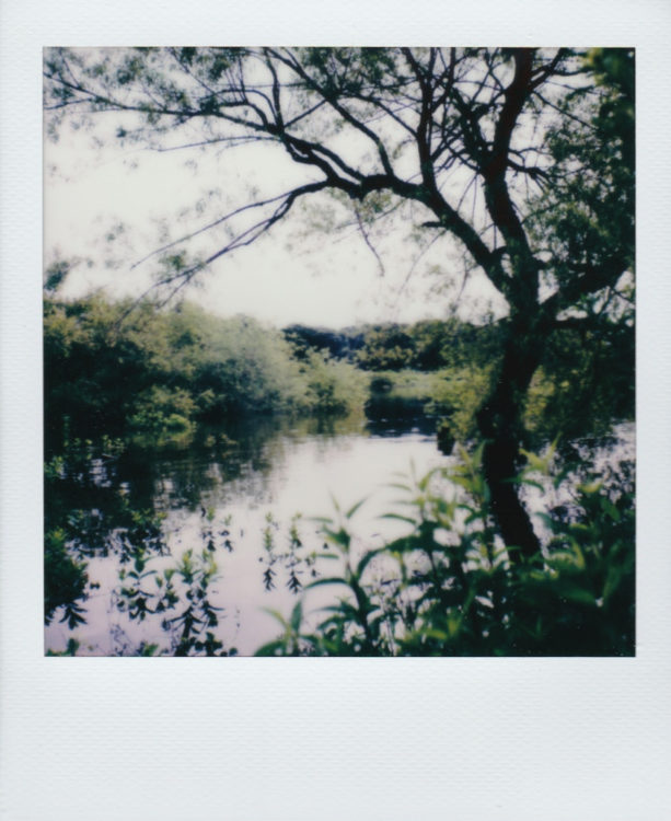 grapevine-lake-underwater258