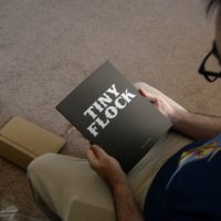 Noah Kalina - 'Tiny Flock'