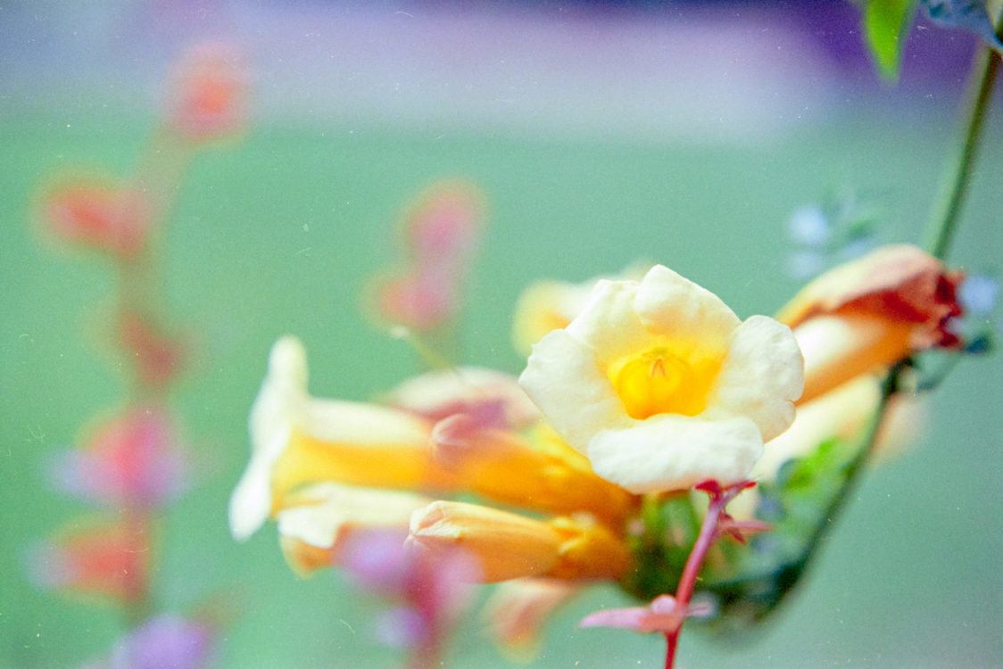 20210719-171416-Ninagawa-2©JamesECockoft-499-1