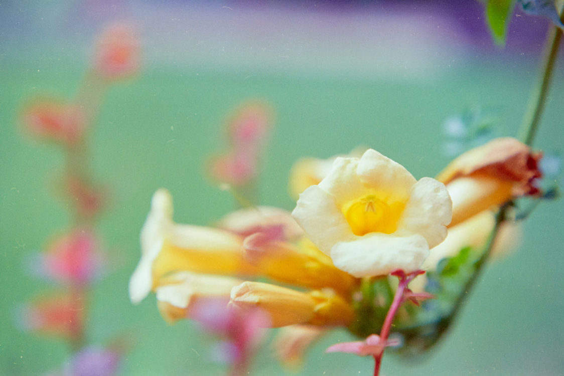 20210719-171416-Ninagawa-2©JamesECockoft-499