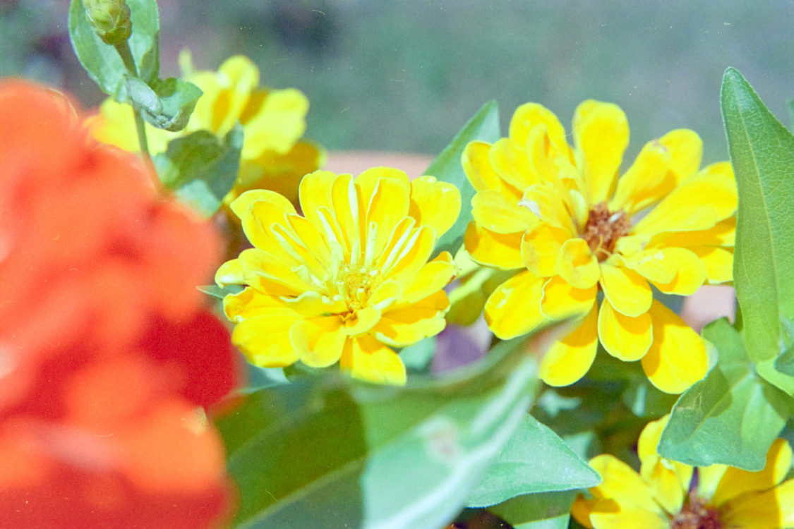 20210719-171625-Ninagawa-2©JamesECockoft-519