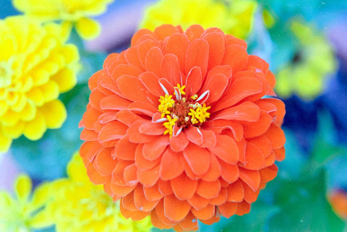 20210719-171704-Ninagawa-2©JamesECockoft-529