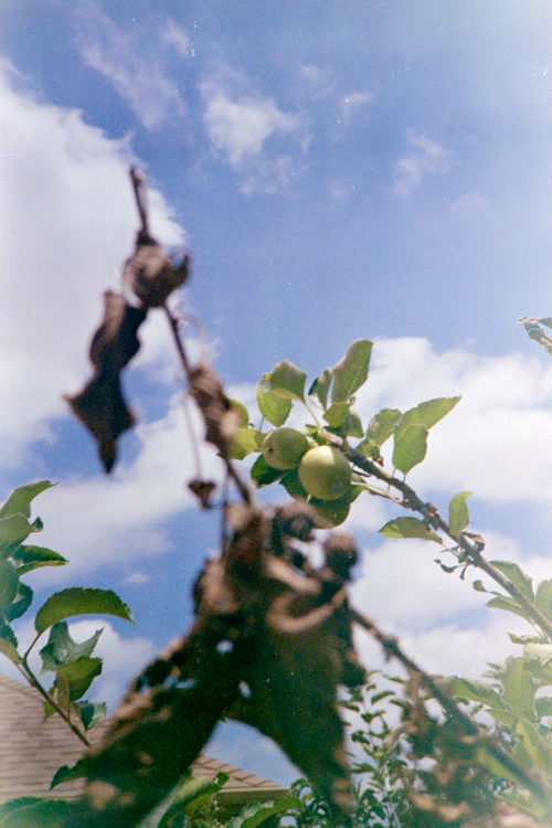 Expired-Fuji-Super-G-in-the-XA-3