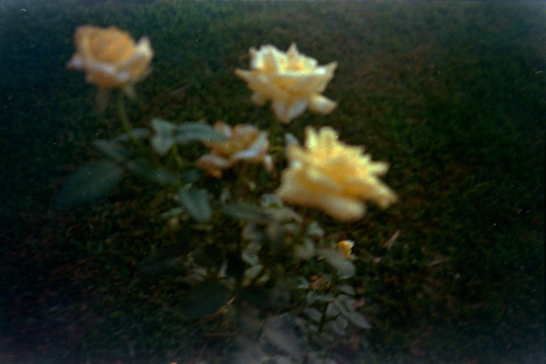 Expired-Fuji-Super-G-in-the-XA-5