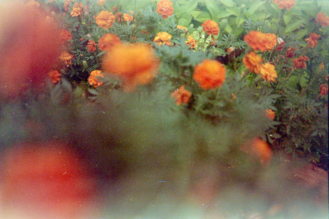 Expired-Fuji-Super-G-in-the-XA-6