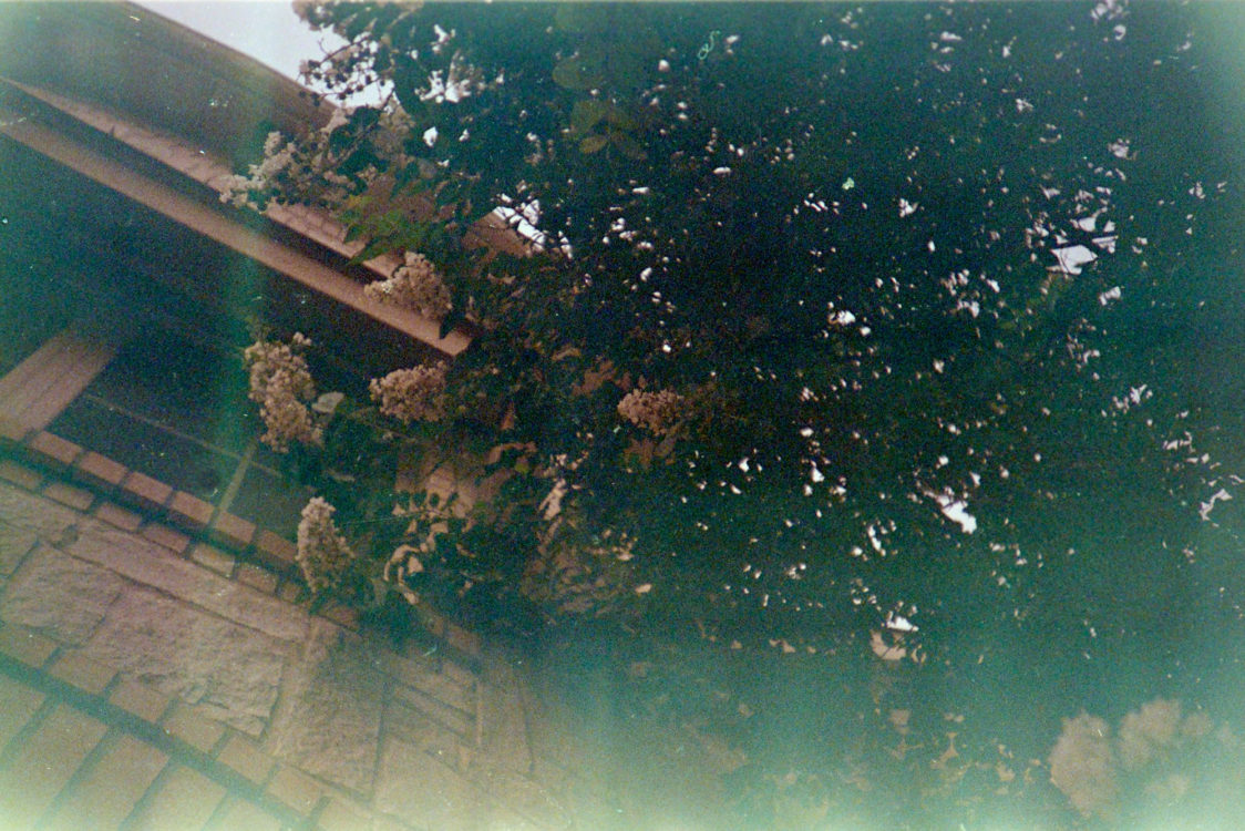 Fuji-Super-G-at-50-LC-A-11