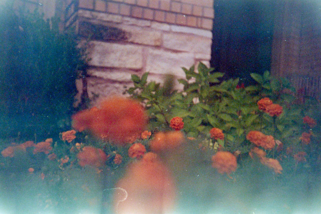 Fuji-Super-G-at-50-LC-A-14-3