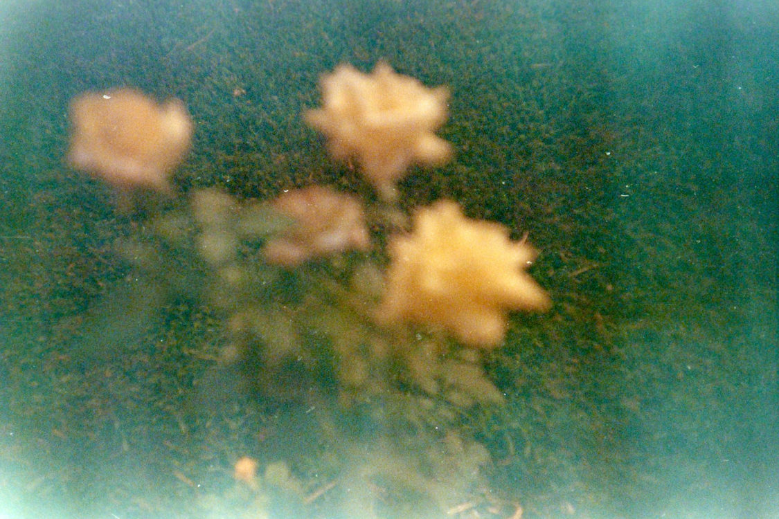 Fuji-Super-G-at-50-LC-A-15