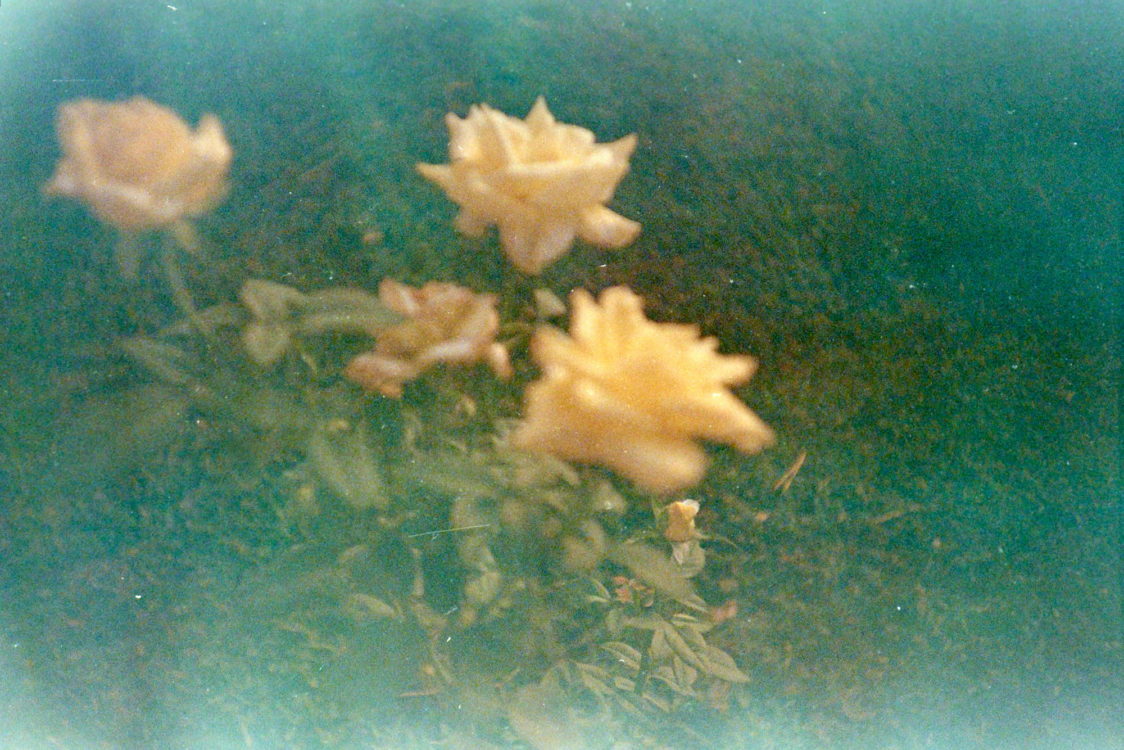 Fuji-Super-G-at-50-LC-A-16