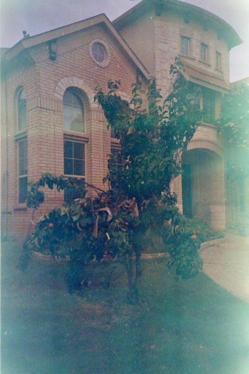 Fuji-Super-G-at-50-LC-A-9