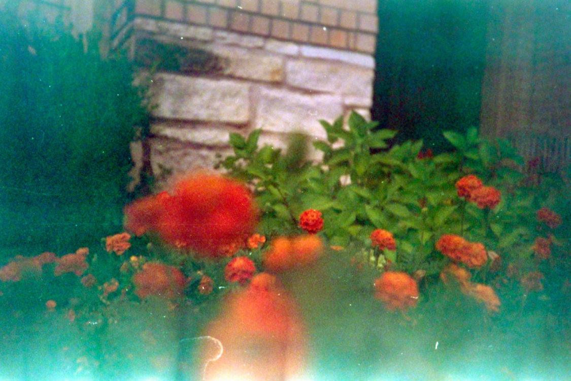 testing-Nikon-Negative-Digitizer-10