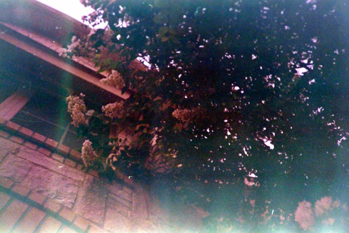 testing-Nikon-Negative-Digitizer-11