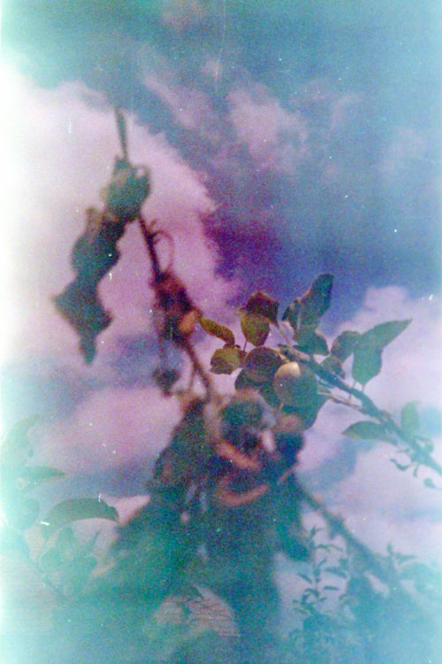 testing-Nikon-Negative-Digitizer-4