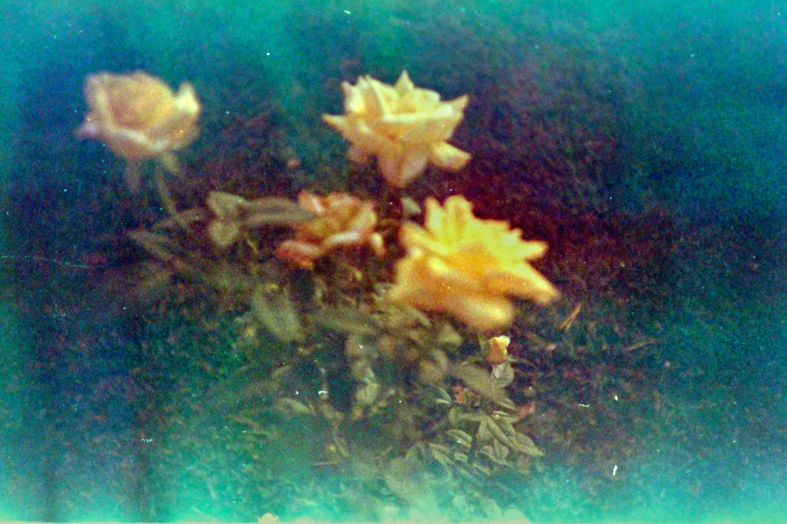 testing-Nikon-Negative-Digitizer-8