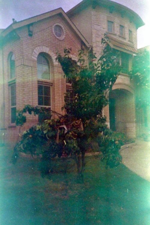 testing-Nikon-Negative-Digitizer-9