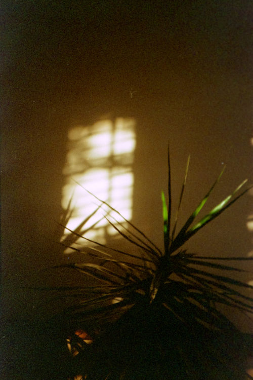 Eid-al-Adha-Expired-Lomo-800-Ferrania-25