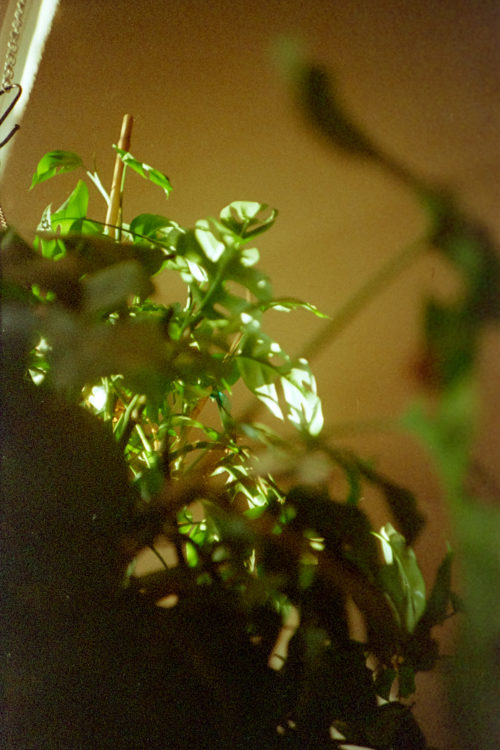 Eid-al-Adha-Expired-Lomo-800-Ferrania-26