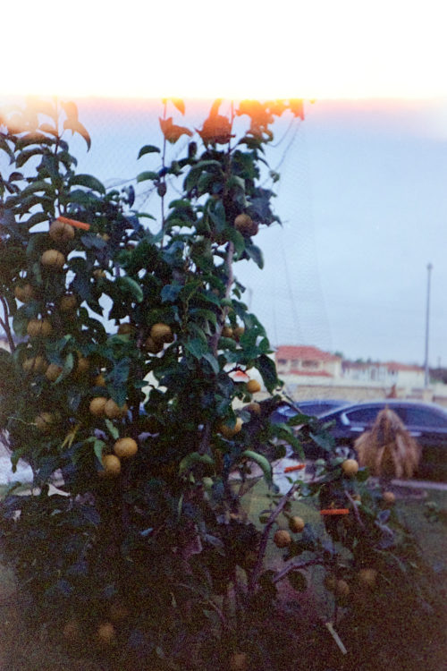 Eid-al-Adha-Expired-Lomo-800-Ferrania