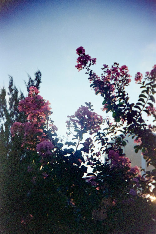 Eid-al-Adha-Expired-Lomo-800-Ferrania-8