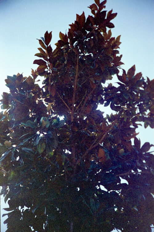 20210801-115202-Eid-al-Adha-and-after©JamesECockoft-677