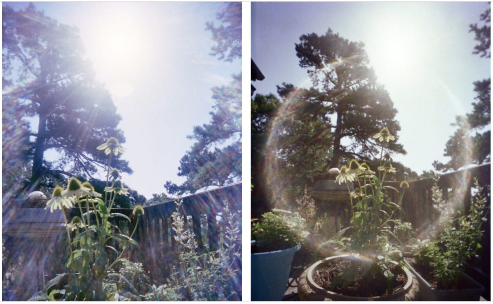 Wide-Angle-Battle-Final-Cover