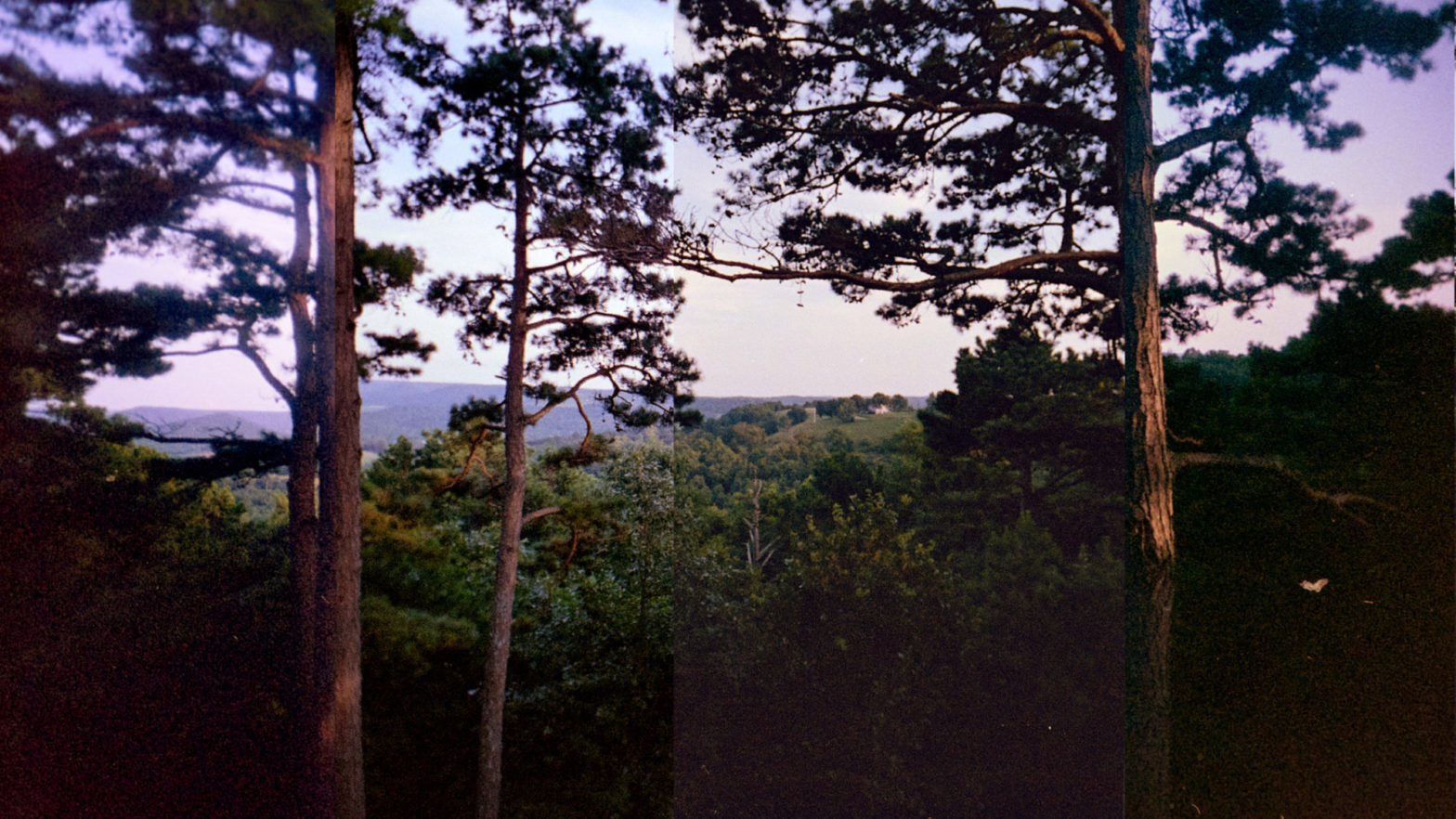 wide-angle-preview-header image