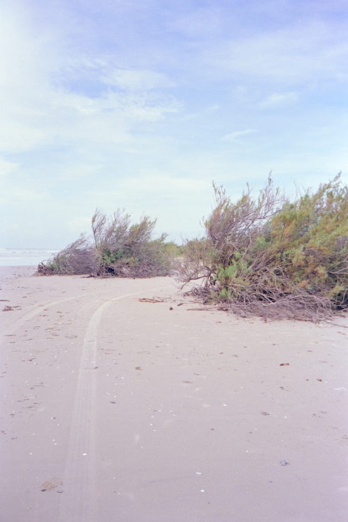 tire tracks at the Katy Hamby nature trail