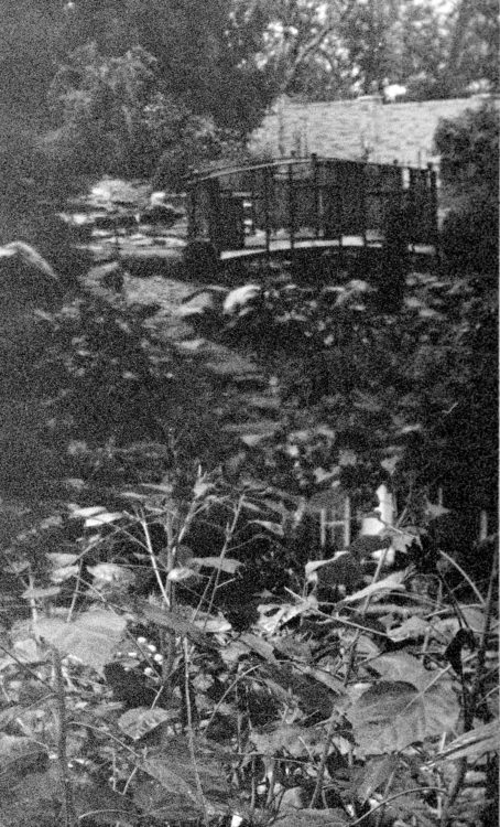 20211016-155640-Holgaweek-2021-1©JamesECockoft-1141