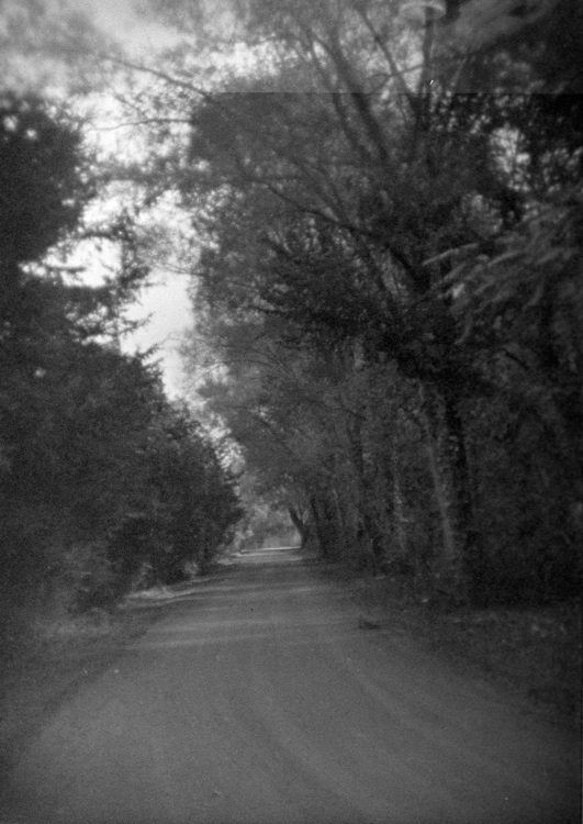 20211016-155801-Holgaweek-2021-1©JamesECockoft-1147