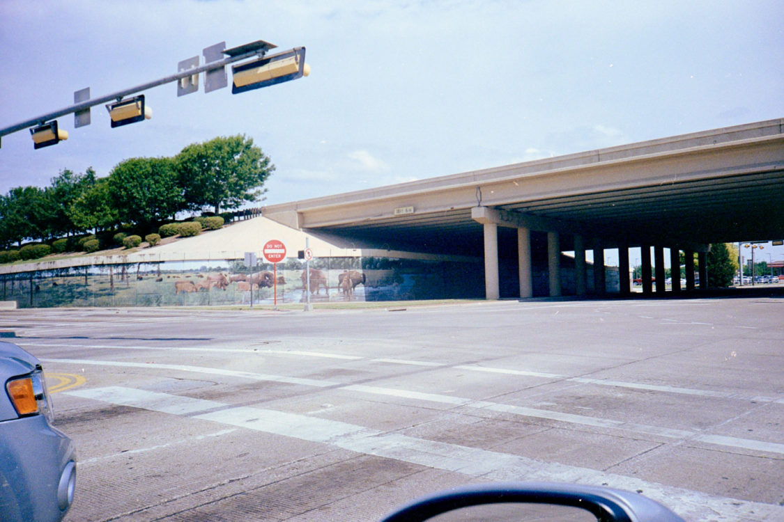 Scenes-from-the-Car-6