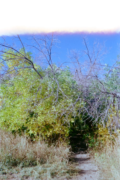 a path not taken, Boulder CO, 2021