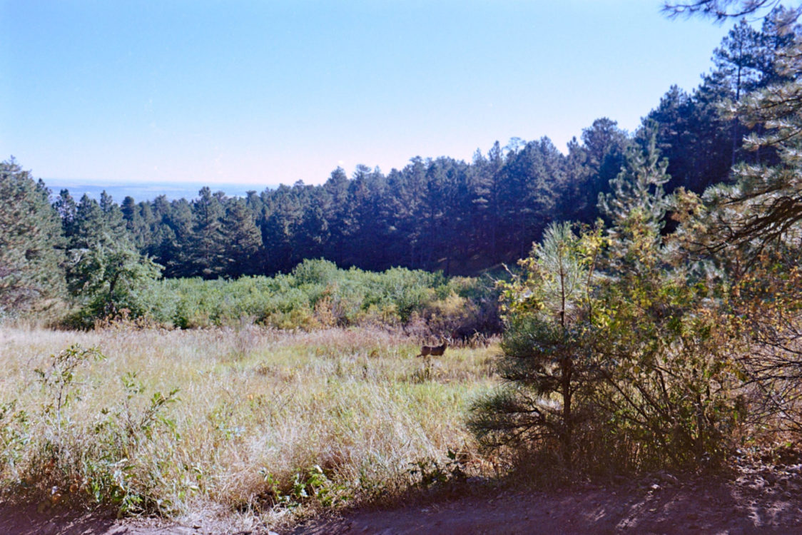 20211016-111831-Denver-Topeka-OM10©JamesECockoft-1010