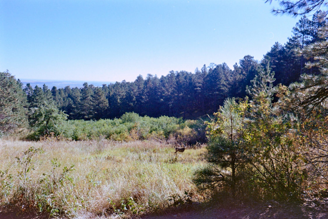 20211016-111837-Denver-Topeka-OM10©JamesECockoft-1011