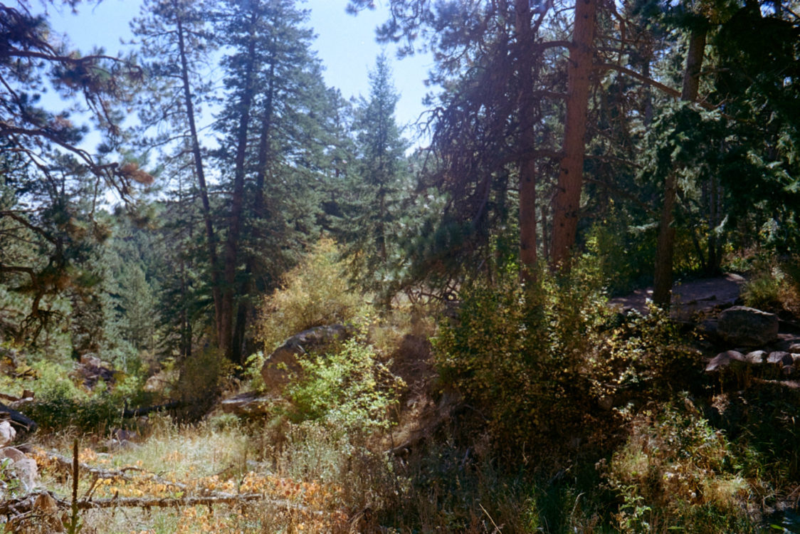 20211016-111928-Denver-Topeka-OM10©JamesECockoft-1019