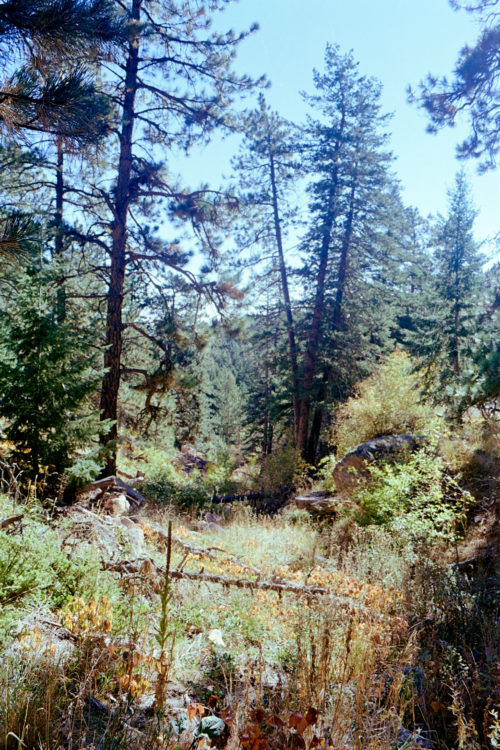 20211016-111933-Denver-Topeka-OM10©JamesECockoft-1020