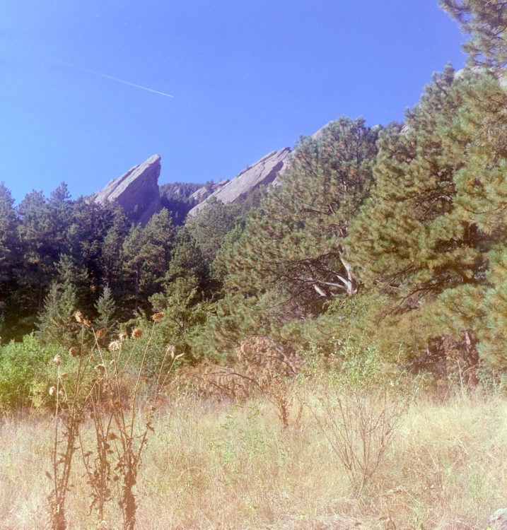 20211017-160054-the-Yashica-Denver©JamesECockoft-1277