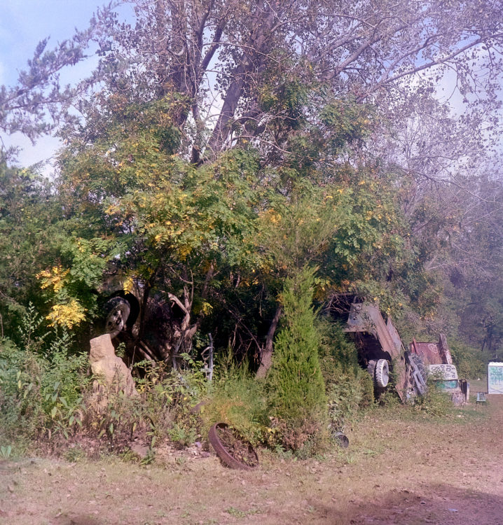 20211017-160118-the-Yashica-Denver©JamesECockoft-1280