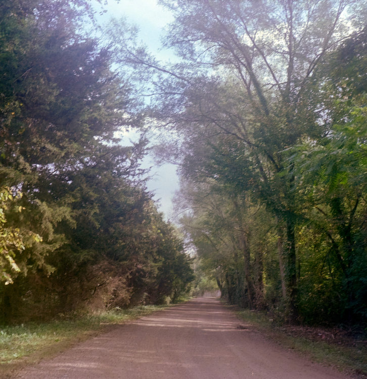 20211017-160123-the-Yashica-Denver©JamesECockoft-1281-1