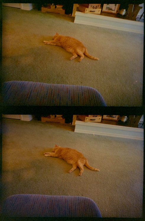 20210417-165801-Arkansas-LC-Wide-half-frame-1-©JamesECcockroft-2021-2486