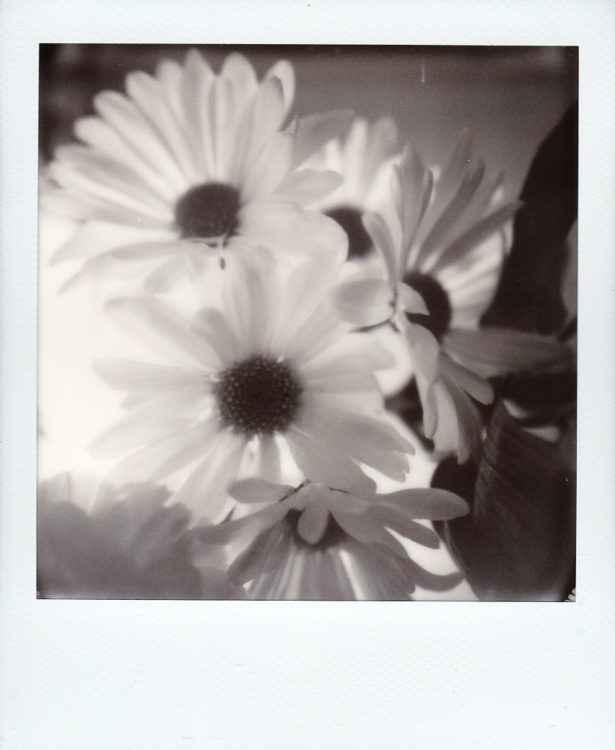 20211014-Arkansas-SX70-BW-a-©JamesECockroft-160-2
